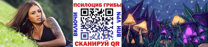 Галлюциногенные грибы Cubensis  Плёс 